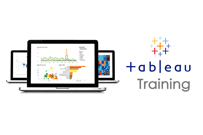 Tableau Training & Data Visualization